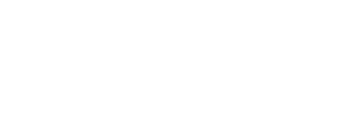 Toronto Arts Council